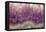 Amethyst-Darrell Gulin-Framed Premier Image Canvas