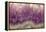 Amethyst-Darrell Gulin-Framed Premier Image Canvas