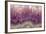 Amethyst-Darrell Gulin-Framed Premium Photographic Print