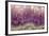 Amethyst-Darrell Gulin-Framed Premium Photographic Print