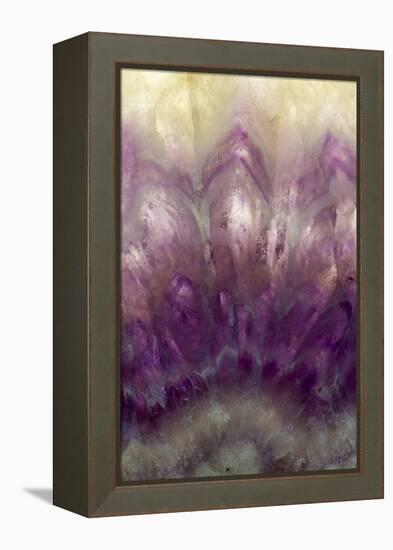 Amethyst-Darrell Gulin-Framed Premier Image Canvas