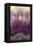 Amethyst-Darrell Gulin-Framed Premier Image Canvas