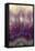 Amethyst-Darrell Gulin-Framed Premier Image Canvas