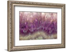 Amethyst-Darrell Gulin-Framed Photographic Print
