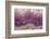 Amethyst-Darrell Gulin-Framed Photographic Print