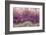 Amethyst-Darrell Gulin-Framed Photographic Print