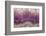 Amethyst-Darrell Gulin-Framed Photographic Print