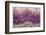 Amethyst-Darrell Gulin-Framed Photographic Print