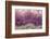 Amethyst-Darrell Gulin-Framed Photographic Print