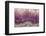 Amethyst-Darrell Gulin-Framed Photographic Print