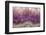 Amethyst-Darrell Gulin-Framed Photographic Print