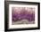 Amethyst-Darrell Gulin-Framed Photographic Print