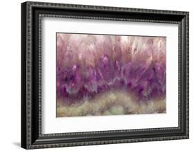 Amethyst-Darrell Gulin-Framed Photographic Print