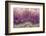 Amethyst-Darrell Gulin-Framed Photographic Print