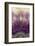 Amethyst-Darrell Gulin-Framed Photographic Print