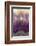 Amethyst-Darrell Gulin-Framed Photographic Print