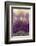 Amethyst-Darrell Gulin-Framed Photographic Print