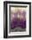 Amethyst-Darrell Gulin-Framed Photographic Print