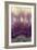 Amethyst-Darrell Gulin-Framed Photographic Print