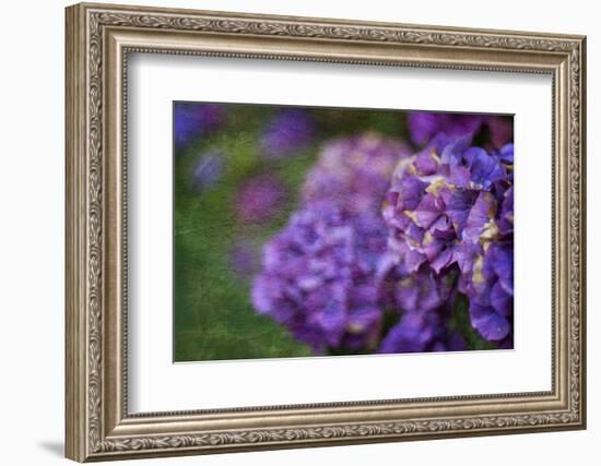 Amethyst-Viviane Fedieu Daniel-Framed Photographic Print