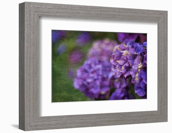 Amethyst-Viviane Fedieu Daniel-Framed Photographic Print