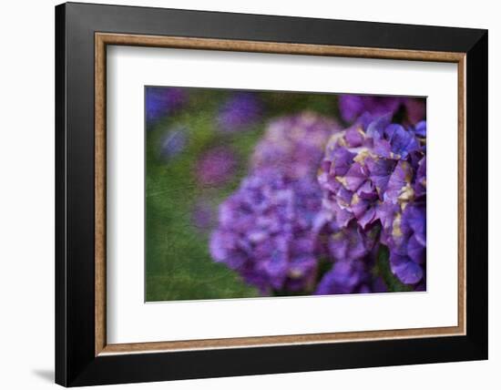 Amethyst-Viviane Fedieu Daniel-Framed Photographic Print