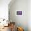 Amethyst-Viviane Fedieu Daniel-Framed Photographic Print displayed on a wall