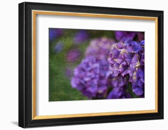 Amethyst-Viviane Fedieu Daniel-Framed Photographic Print