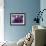 Amethyst-Barbara Keith-Framed Giclee Print displayed on a wall