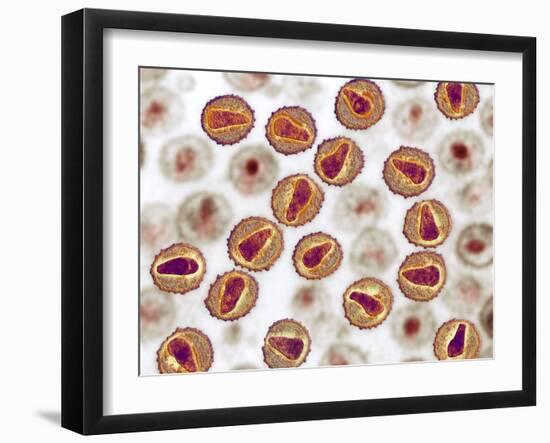 Photographic Print, , large