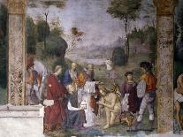 Baptism of Valerian, 1506-Amico Aspertini-Giclee Print