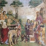 Baptism of Valerian, 1506-Amico Aspertini-Giclee Print