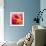 Amid Poppies I-Nick Vivian-Framed Giclee Print displayed on a wall