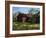 Amish Country Barn-Barbara Chenault-Framed Art Print