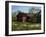 Amish Country Barn-Barbara Chenault-Framed Art Print