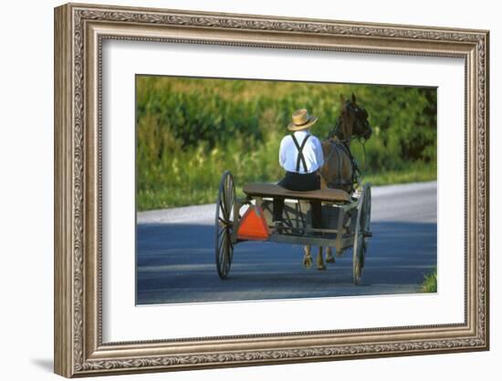 Amish driving a horse-drawn cart, Pennsylvania, USA-null-Framed Art Print