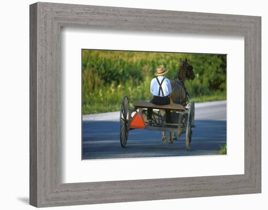 Amish driving a horse-drawn cart, Pennsylvania, USA-null-Framed Art Print