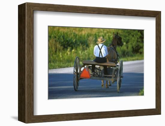 Amish driving a horse-drawn cart, Pennsylvania, USA-null-Framed Art Print