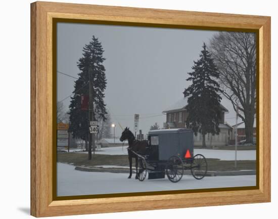 Amish Horse and Buggy, 2013-Anthony Butera-Framed Premier Image Canvas