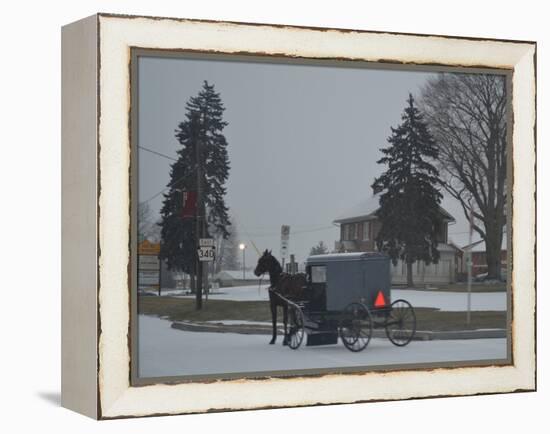 Amish Horse and Buggy, 2013-Anthony Butera-Framed Premier Image Canvas