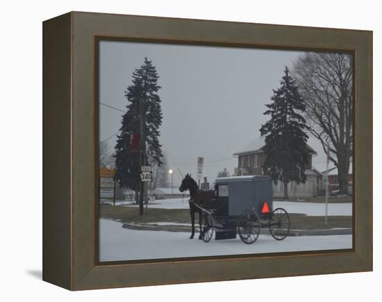 Amish Horse and Buggy, 2013-Anthony Butera-Framed Premier Image Canvas