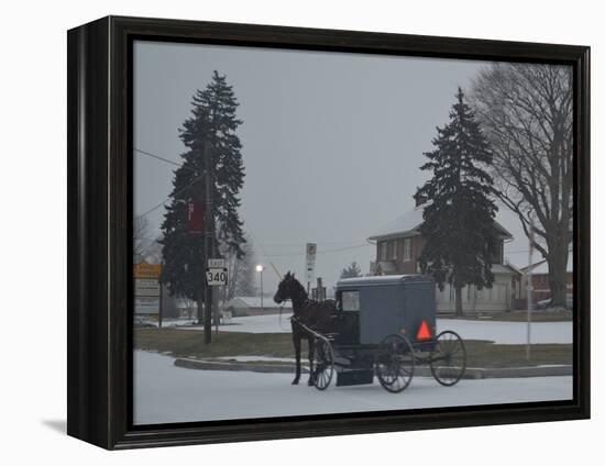 Amish Horse and Buggy, 2013-Anthony Butera-Framed Premier Image Canvas