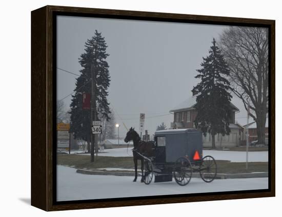 Amish Horse and Buggy, 2013-Anthony Butera-Framed Premier Image Canvas