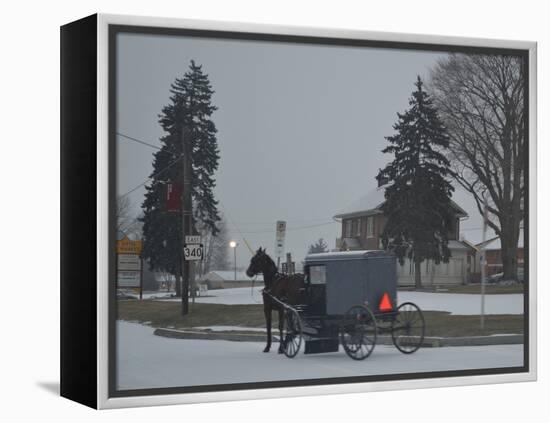 Amish Horse and Buggy, 2013-Anthony Butera-Framed Premier Image Canvas