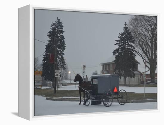 Amish Horse and Buggy, 2013-Anthony Butera-Framed Premier Image Canvas