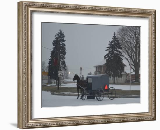 Amish Horse and Buggy, 2013-Anthony Butera-Framed Photographic Print