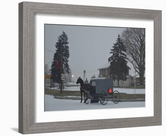 Amish Horse and Buggy, 2013-Anthony Butera-Framed Photographic Print