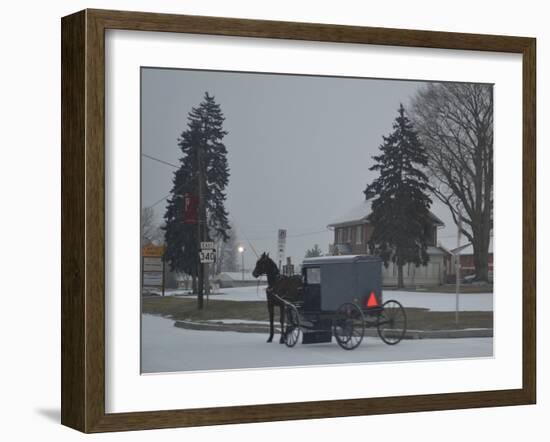 Amish Horse and Buggy, 2013-Anthony Butera-Framed Photographic Print