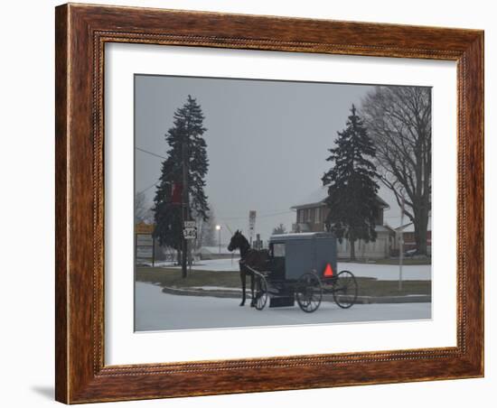 Amish Horse and Buggy, 2013-Anthony Butera-Framed Photographic Print