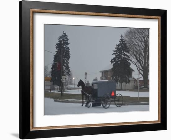 Amish Horse and Buggy, 2013-Anthony Butera-Framed Photographic Print